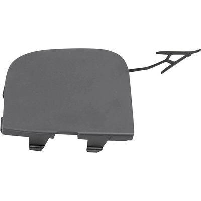 Tow Hook Cover - FO1029133 pa1