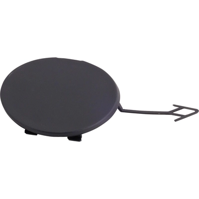 Tow Hook Cover - GM1029128 pa1