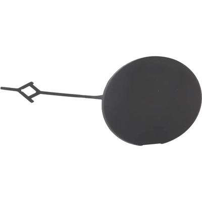 Tow Hook Cover - GM1029141 pa2