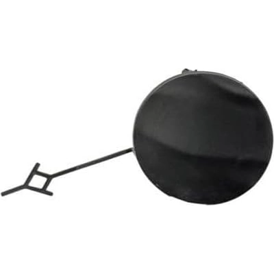 Tow Hook Cover - GM1029150 pa1
