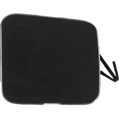 Tow Hook Cover - IN1029100 pa1