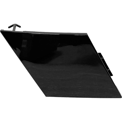 Tow Hook Cover - NI1029115 pa1