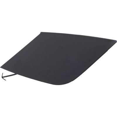 Tow Hook Cover - TO1029115 pa1