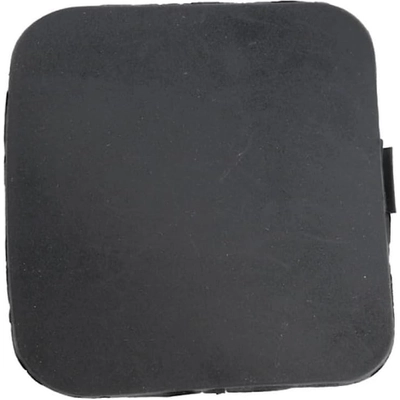 Tow Hook Cover - TO1029119 pa1