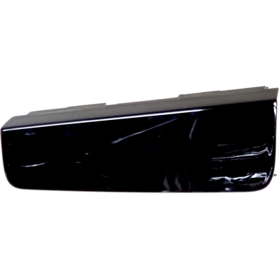 Tow Hook Cover - TO1029146 pa1