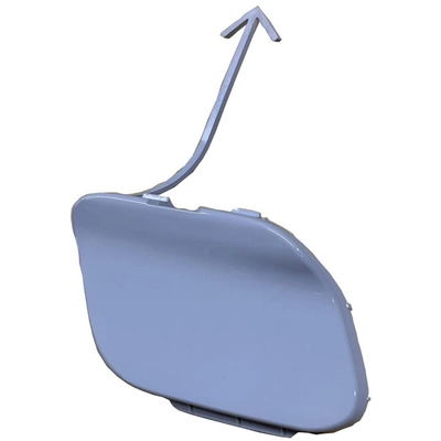 Tow Hook Cover - VW1029116 pa1