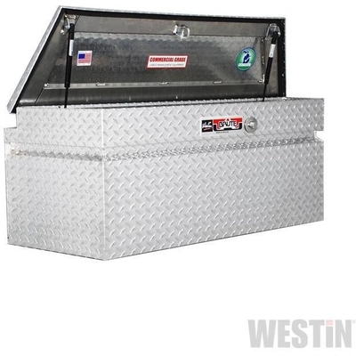 Trailer Tongue Box by WESTIN - 80-RB4919 pa3