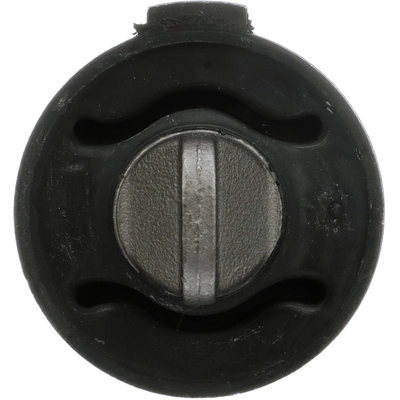 Trailing Arm Bushing by DELPHI - TD4798W pa1
