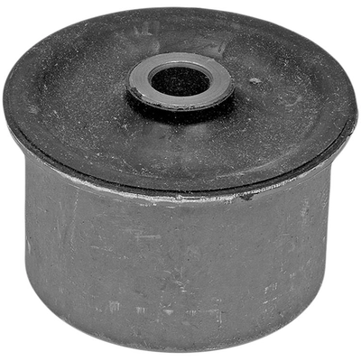 DORMAN - 523-257 - Suspension Trailing Arm Bushing pa1