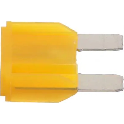 Trans Control Fuse by LITTELFUSE - MAX20BP pa13
