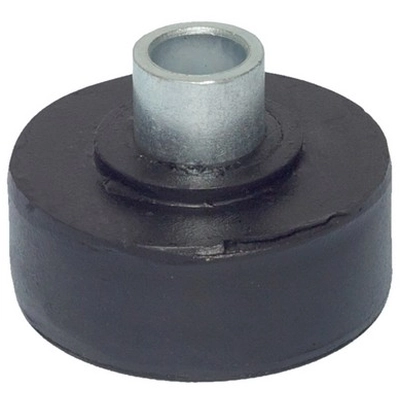 WESTAR INDUSTRIES - EM2668 -  Automatic Transmission Mount pa1