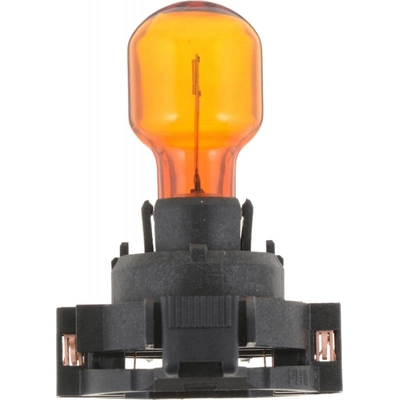 Trunk Light by PHILIPS - PY24WNAC1 pa1