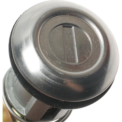 Trunk Lock by BLUE STREAK (HYGRADE MOTOR) - TL125 pa6