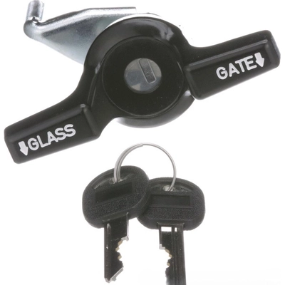 Trunk Lock by BLUE STREAK (HYGRADE MOTOR) - TL163 pa5