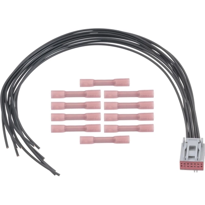 BLUE STREAK (HYGRADE MOTOR) - S2307 - Trunk Or Hatch Connector pa17