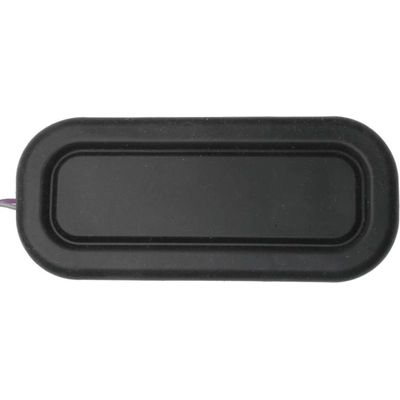 Trunk Or Hatch Switch by BLUE STREAK (HYGRADE MOTOR) - DS2179 pa8