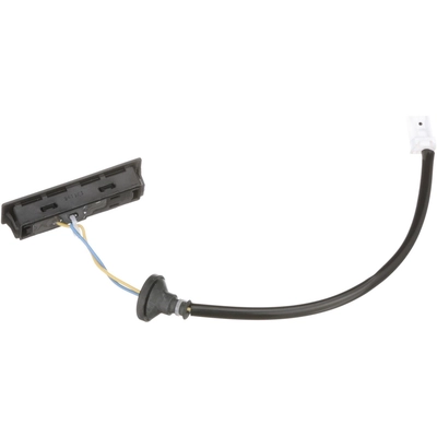 BLUE STREAK (HYGRADE MOTOR) - LSW107 - Liftgate Release Switch pa1