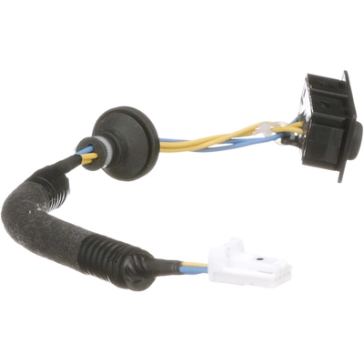 BLUE STREAK (HYGRADE MOTOR) - LSW110 - Liftgate Release Switch pa1