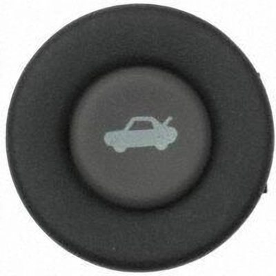 Trunk Or Hatch Switch by BLUE STREAK (HYGRADE MOTOR) - DS2154 pa2
