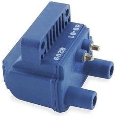Trunk Or Hatch Switch by BLUE STREAK (HYGRADE MOTOR) - DS466 pa1