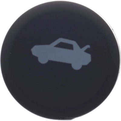 STANDARD - PRO SERIES - DS3421 - Front Trunk Lid Release Switch pa4