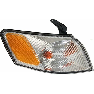 Turn Signal Light Assembly by DEPO - 3121520RAS pa2