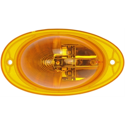 Turn Signal Light Assembly by DORMAN (HD SOLUTIONS) - 888-5200 pa1