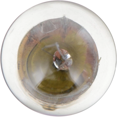 Under Hood Light (Pack of 10) by PHILIPS - 1895CP pa28