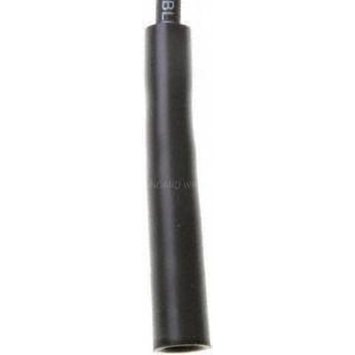 Universal Resistor Ignition Wire Set by BLUE STREAK (HYGRADE MOTOR) - 3600 pa1