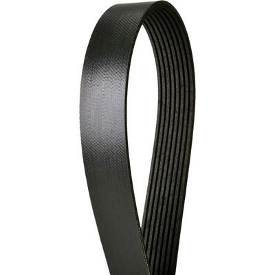 CONTINENTAL - 4080885 - Multi-V Belt pa2
