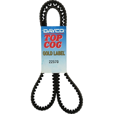 DAYCO - 22570 - V-Belt pa4