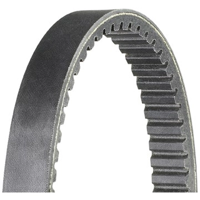 DAYCO - HP2003 - Drive Belts pa1