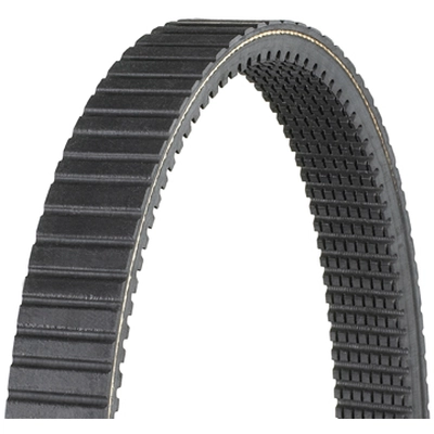 DAYCO - HP2004 - Drive Belts pa1