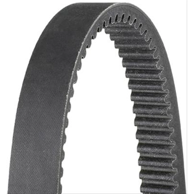DAYCO - XTX2217 - Belts pa1