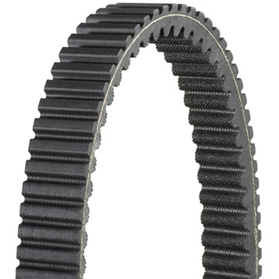 DAYCO - XTX5020 - Belt pa1