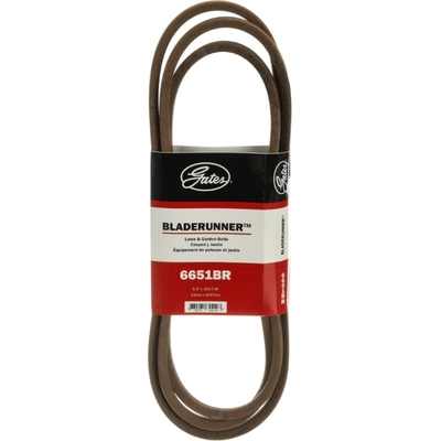 GATES - 6651BR - Classical Section Wrapped V-Belt pa4
