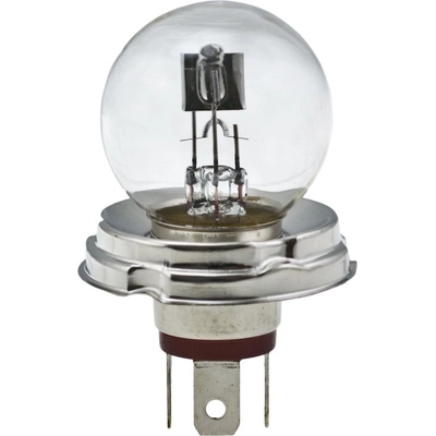 HELLA - 7952 - Miscellaneous Light Bulb pa1