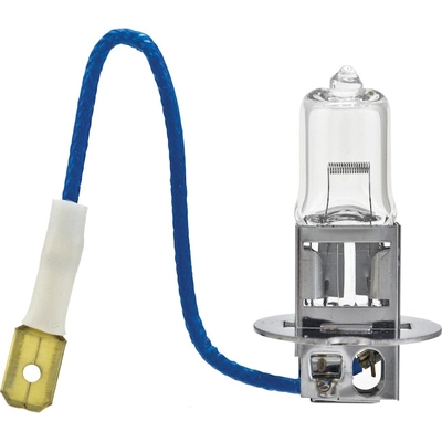 HELLA - H3100W - Multi Purpose Light Bulb pa3