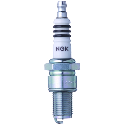 NGK - 3981 - Spark Plug pa1