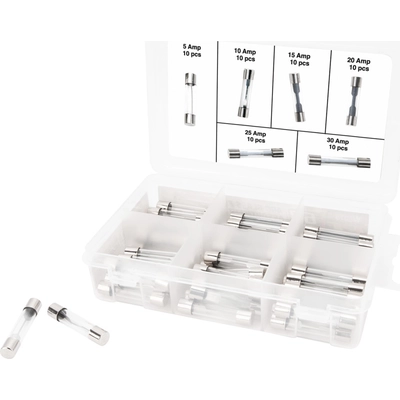 PERFORMANCE TOOL - W5375 - AGC Glass Fuse Assort pa6