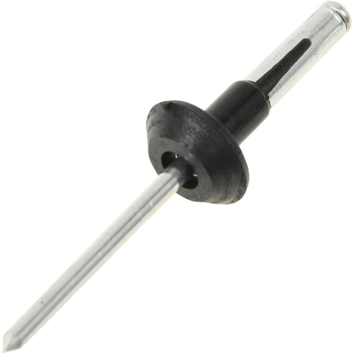 PROFESSIONAL PARTS SWEDEN - 81439878 - Rivet pa2