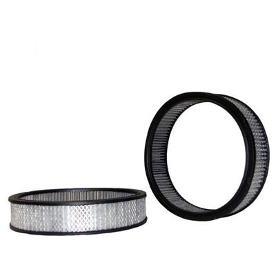 WIX - 46945R - Air Filter pa1