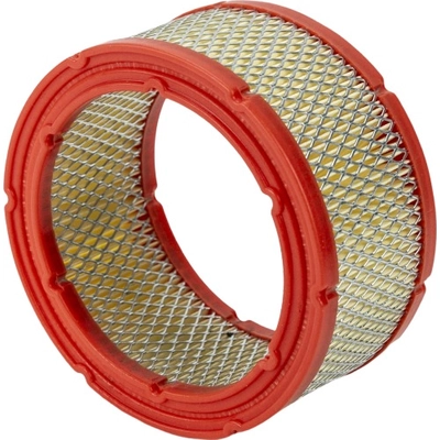 WIX - 49227 - Air Filter pa1