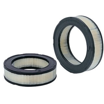 WIX - WA10647 - Air Filter pa1
