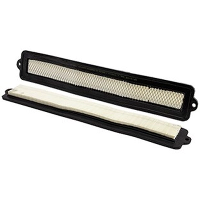 WIX - WP10193 - Cabin Air Filter pa1