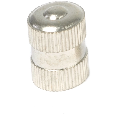 31 INCORPORATED - 17-491D - Tire Valve Cap pa1