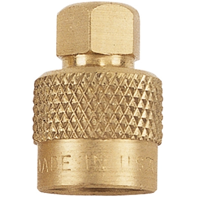 31 INCORPORATED - 17-860 - Large Bore Hex-Head Valve Cap pa1