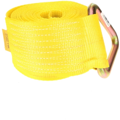 ANCRA CARGO - 43795-11-40 - Winch Strap With Delta Ring pa2