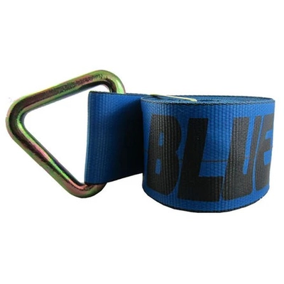 ANCRA CARGO - 43795-81-30 - Cargo Strap With Delta Ring pa1