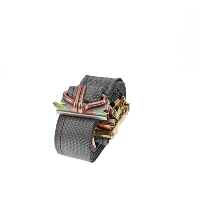 ANCRA CARGO - 48253-13 - Ratchet Strap /Wire Hook & Spring E Fitting pa2